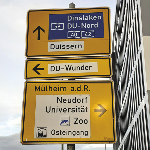 Auf der Suche nach einem Wunder