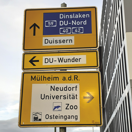 Auf der Suche nach einem Wunder