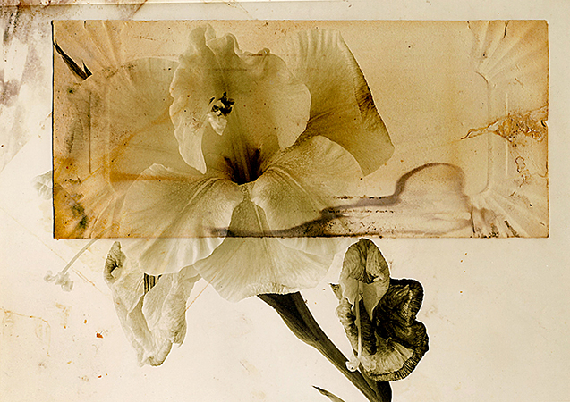 Begegnungen – was uns trennt, was uns verbindet