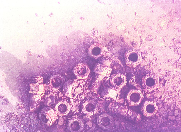 Begegnungsausstellung