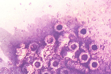 Begegnungsausstellung