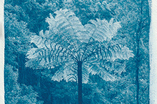 Getrennt. Verbunden.