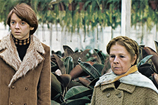 HAROLD UND MAUDE