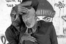 Animale sociale – Ein stummer Dialog