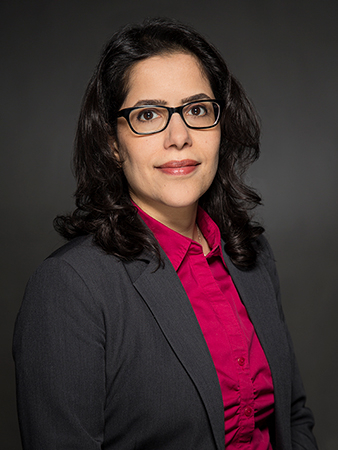 Das Land der Widersprüche